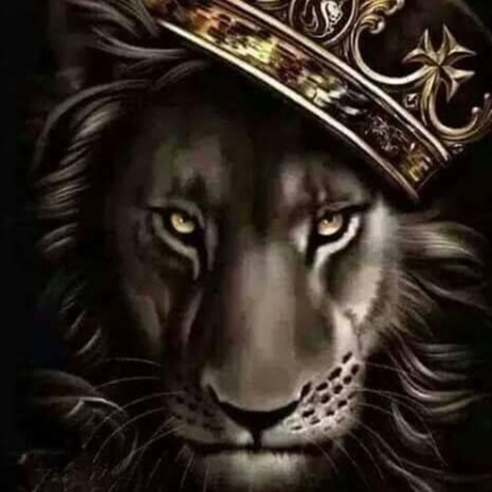 Meet your Posher, Lynnette